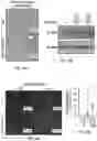 Fig. 23 - METHODS FOR ISOLATING, EXPANDING AND ADMINISTERING CANCER SPECIFIC CD8+ T CELLS