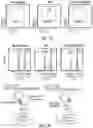 Fig. 41 - METHODS FOR ISOLATING, EXPANDING AND ADMINISTERING CANCER SPECIFIC CD8+ T CELLS
