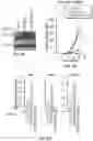 Fig. 44 - METHODS FOR ISOLATING, EXPANDING AND ADMINISTERING CANCER SPECIFIC CD8+ T CELLS