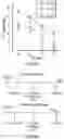 Fig. 56 - METHODS FOR ISOLATING, EXPANDING AND ADMINISTERING CANCER SPECIFIC CD8+ T CELLS