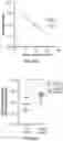 Fig. 58 - METHODS FOR ISOLATING, EXPANDING AND ADMINISTERING CANCER SPECIFIC CD8+ T CELLS