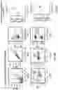 Fig. 75 - METHODS FOR ISOLATING, EXPANDING AND ADMINISTERING CANCER SPECIFIC CD8+ T CELLS