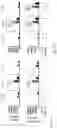 Fig. 12 - Advanced pulmonary models