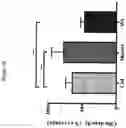 Fig. 25 - Advanced pulmonary models