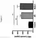 Fig. 32 - Advanced pulmonary models