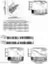 Fig. 01 - COMPOSITIONS AND METHODS FOR REPROGRAMMING CELLS AND FOR SOMATIC CELL NUCLEAR TRANSFER USING DUXC EXPRESSION