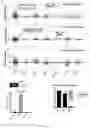 Fig. 04 - COMPOSITIONS AND METHODS FOR REPROGRAMMING CELLS AND FOR SOMATIC CELL NUCLEAR TRANSFER USING DUXC EXPRESSION