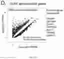 Fig. 09 - COMPOSITIONS AND METHODS FOR REPROGRAMMING CELLS AND FOR SOMATIC CELL NUCLEAR TRANSFER USING DUXC EXPRESSION