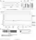 Fig. 27 - COMPOSITIONS AND METHODS FOR REPROGRAMMING CELLS AND FOR SOMATIC CELL NUCLEAR TRANSFER USING DUXC EXPRESSION