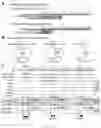 Fig. 40 - COMPOSITIONS AND METHODS FOR REPROGRAMMING CELLS AND FOR SOMATIC CELL NUCLEAR TRANSFER USING DUXC EXPRESSION
