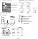 Fig. 45 - COMPOSITIONS AND METHODS FOR REPROGRAMMING CELLS AND FOR SOMATIC CELL NUCLEAR TRANSFER USING DUXC EXPRESSION