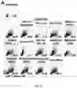Fig. 05 - Methods and compositions relating to viral latency