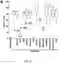 Fig. 06 - Methods and compositions relating to viral latency
