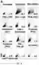 Fig. 07 - Methods and compositions relating to viral latency