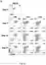 Fig. 11 - Methods and compositions relating to viral latency