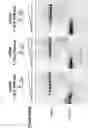 Fig. 04 - METHODS AND COMPOSITIONS FOR MODIFYING A SINGLE STRANDED TARGET NUCLEIC ACID