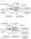 Fig. 14 - METHODS AND COMPOSITIONS FOR MODIFYING A SINGLE STRANDED TARGET NUCLEIC ACID
