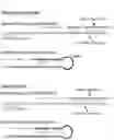 Fig. 22 - METHODS AND COMPOSITIONS FOR MODIFYING A SINGLE STRANDED TARGET NUCLEIC ACID