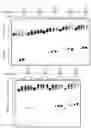 Fig. 31 - METHODS AND COMPOSITIONS FOR MODIFYING A SINGLE STRANDED TARGET NUCLEIC ACID