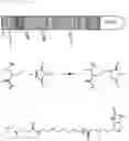 Fig. 50 - METHODS AND COMPOSITIONS FOR MODIFYING A SINGLE STRANDED TARGET NUCLEIC ACID
