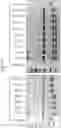 Fig. 10 - Enzymes for Glycan Analysis