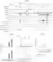 Fig. 03 - Targeting BCL11A distal regulatory elements for fetal hemoglobin reinduction