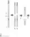 Fig. 03 - CAPTURE OF NUCLEIC ACIDS USING A NUCLEIC ACID-GUIDED NUCLEASE-BASED SYSTEM