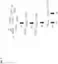 Fig. 08 - CAPTURE OF NUCLEIC ACIDS USING A NUCLEIC ACID-GUIDED NUCLEASE-BASED SYSTEM