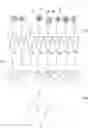 Fig. 01 - Method for obtaining nucleic acid derived from fetal cell