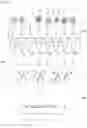 Fig. 03 - Method for obtaining nucleic acid derived from fetal cell