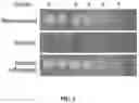 Fig. 03 - Treating and preventing microbial infections