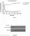 Fig. 07 - Treating and preventing microbial infections
