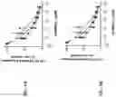 Fig. 05 - O-methyl rich fully stabilized oligonucleotides