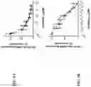 Fig. 07 - O-methyl rich fully stabilized oligonucleotides