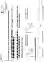 Fig. 15 - O-methyl rich fully stabilized oligonucleotides