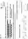 Fig. 19 - O-methyl rich fully stabilized oligonucleotides