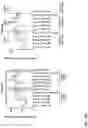 Fig. 20 - O-methyl rich fully stabilized oligonucleotides