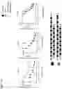 Fig. 21 - O-methyl rich fully stabilized oligonucleotides