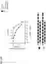 Fig. 22 - O-methyl rich fully stabilized oligonucleotides