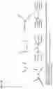 Fig. 27 - O-methyl rich fully stabilized oligonucleotides