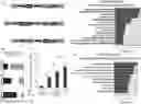 Fig. 01 - SYSTEMS