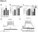 Fig. 04 - SYSTEMS