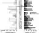 Fig. 01 - COMPOUNDS TARGETING LONG NON CODING RNA FOR THE TREATMENT OF CANCER