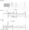 Fig. 08 - COMPOUNDS TARGETING LONG NON CODING RNA FOR THE TREATMENT OF CANCER
