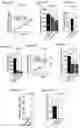 Fig. 14 - COMPOUNDS TARGETING LONG NON CODING RNA FOR THE TREATMENT OF CANCER