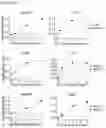 Fig. 17 - COMPOUNDS TARGETING LONG NON CODING RNA FOR THE TREATMENT OF CANCER