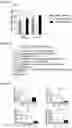 Fig. 18 - COMPOUNDS TARGETING LONG NON CODING RNA FOR THE TREATMENT OF CANCER