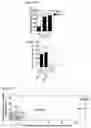 Fig. 19 - COMPOUNDS TARGETING LONG NON CODING RNA FOR THE TREATMENT OF CANCER