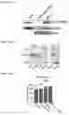 Fig. 22 - COMPOUNDS TARGETING LONG NON CODING RNA FOR THE TREATMENT OF CANCER