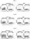 Fig. 07 - Chimeric antigen receptors targeting B-cell maturation antigen